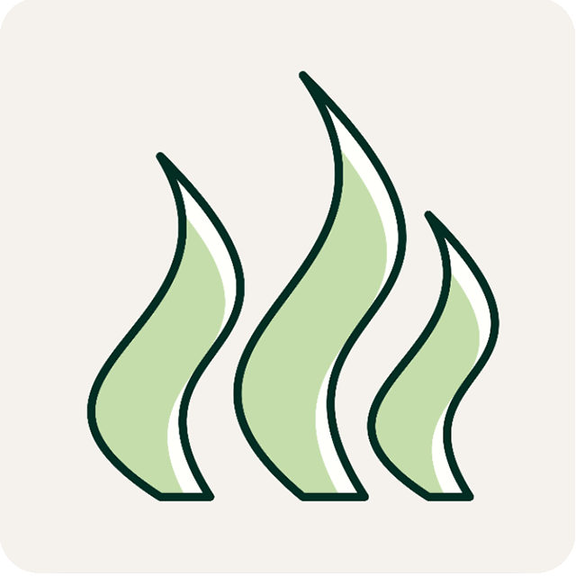 Green odour trails. Illustration.