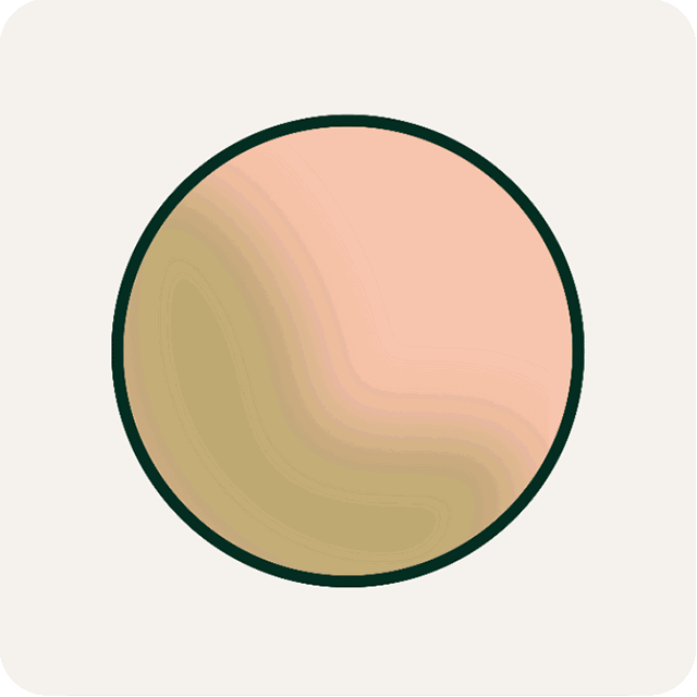 A circle with a color gradient. Illustration.
