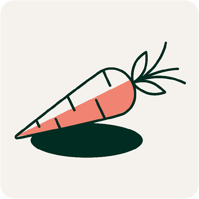 A carrot. Illustration.